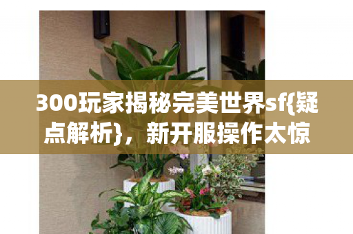 300玩家揭秘完美世界sf图片