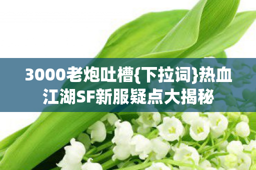 热血江湖SF新服疑点大揭秘图片