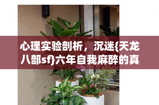 心理实验剖析，沉迷{天龙八部sf}六年自我麻醉的真相