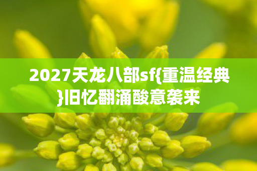 2027天龙八部sf{重温经典}旧忆翻涌酸意袭来 2027天龙八部sf{重温经典}旧忆翻涌酸意袭来