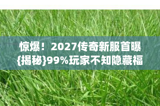 惊爆！2027传奇新服首曝{揭秘}99%玩家不知隐藏福利