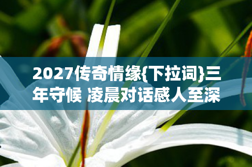 三年守候 凌晨对话感人至深图片