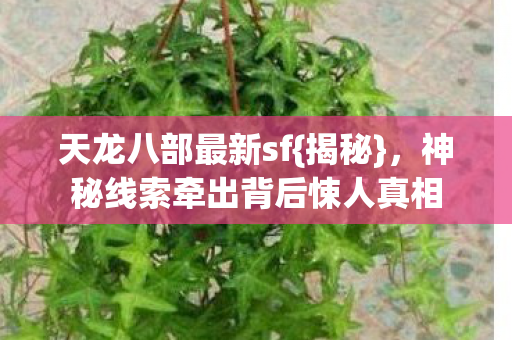 天龙八部最新sf{揭秘},神秘线索牵出背后悚人真相 天龙八部最新sf{揭秘},神秘线索牵出背后悚人真相