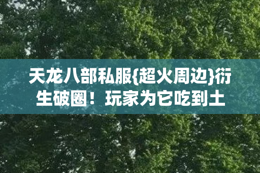 天龙八部私服{超火周边}衍生破圈!玩家为它吃到土 天龙八部私服{超火周边}衍生破圈!玩家为它吃到土