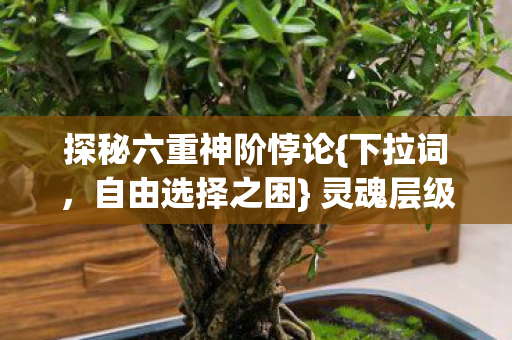 探秘六重神阶悖论{下拉词,自由选择之困} 灵魂层级裂隙震颤 探秘六重神阶悖论{下拉词,自由选择之困} 灵魂层级裂隙震颤