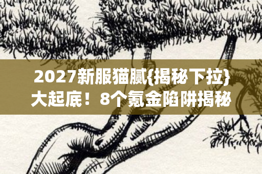 2027新服猫腻{揭秘下拉}大起底！8个氪金陷阱揭秘