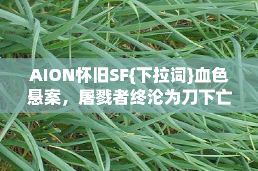 AION怀旧SF{下拉词}血色悬案，屠戮者终沦为刀下亡魂