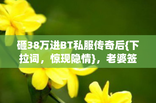 砸38万进BT私服传奇后{下拉词,惊现隐情},老婆签离婚协议方知 砸38万进BT私服传奇后{下拉词,惊现隐情},老婆签离婚协议方知
