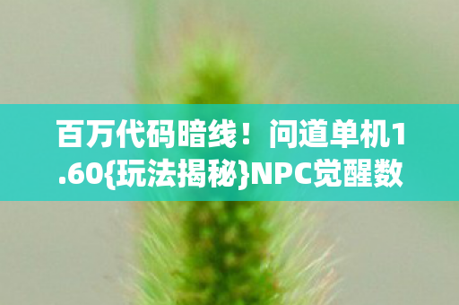 百万代码暗线！问道单机1.60{玩法揭秘}NPC觉醒数字暴动
