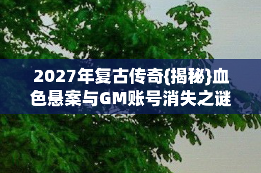 2027年复古传奇{揭秘}血色悬案与GM账号消失之谜 2027年复古传奇{揭秘}血色悬案与GM账号消失之谜