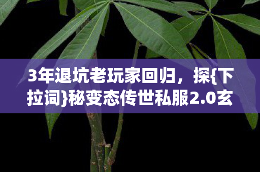 3年退坑老玩家回归,探{下拉词}秘变态传世私服2.0玄机 3年退坑老玩家回归,探{下拉词}秘变态传世私服2.0玄机