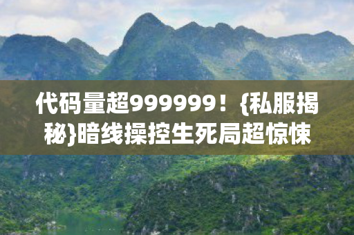 代码量超999999图片
