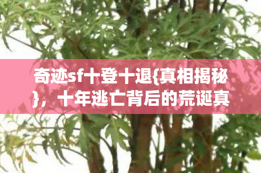 十年逃亡背后的荒诞真相图片