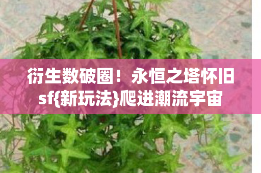 衍生数破圈!永恒之塔怀旧sf{新玩法}爬进潮流宇宙 衍生数破圈!永恒之塔怀旧sf{新玩法}爬进潮流宇宙