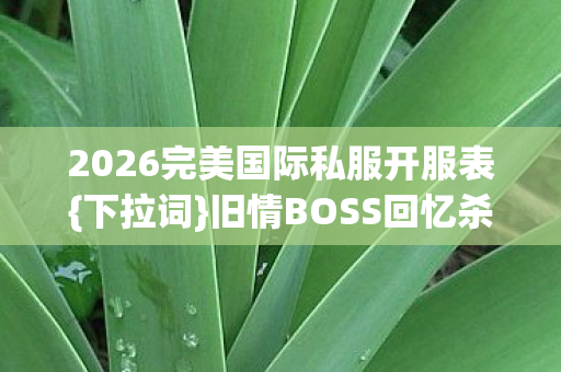 2026完美国际私服开服表图片
