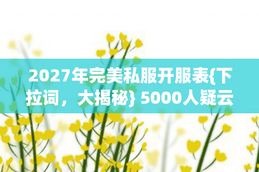 2027年完美私服开服表图片