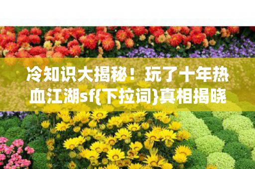 玩了十年热血江湖sf图片