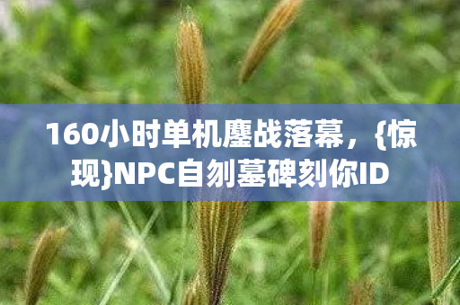 160小时单机鏖战落幕,{惊现}NPC自刎墓碑刻你ID 160小时单机鏖战落幕,{惊现}NPC自刎墓碑刻你ID