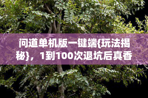 1到100次退坑后真香图片