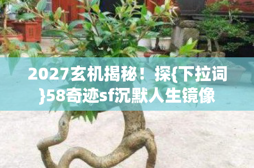 58奇迹sf沉默人生镜像图片