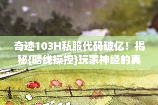 奇迹103H私服代码破亿图片