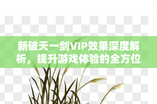 新破天一剑VIP效果深度解析，提升游戏体验的全方位指南，新破天一剑VIP效果全解析，打造顶级游戏体验的秘籍