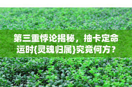 第三重悖论揭秘图片