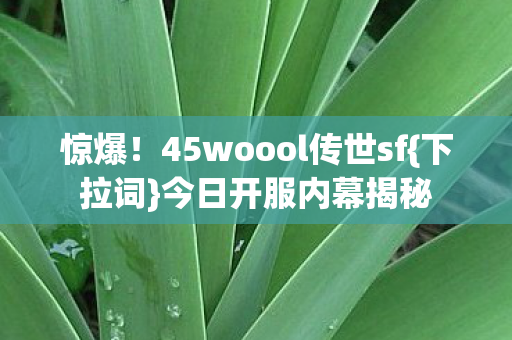 惊爆!45woool传世sf{下拉词}今日开服内幕揭秘 惊爆!45woool传世sf{下拉词}今日开服内幕揭秘