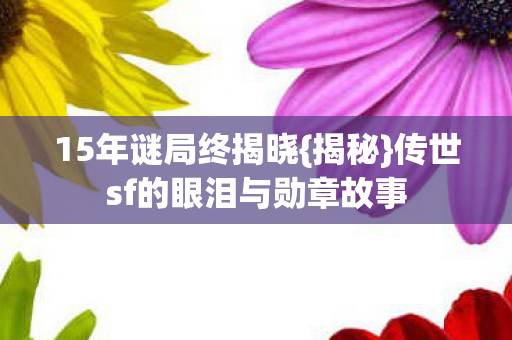15年谜局终揭晓{揭秘}传世sf的眼泪与勋章故事 15年谜局终揭晓{揭秘}传世sf的眼泪与勋章故事