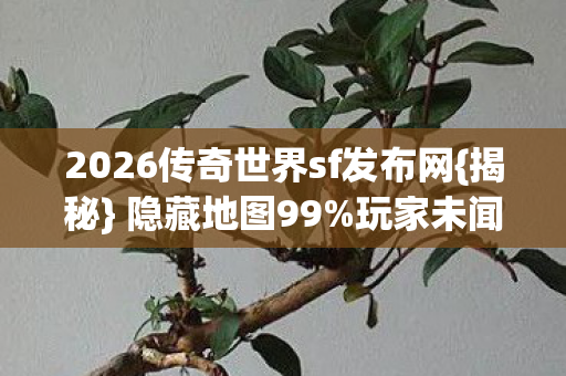 2026传奇世界sf发布网{揭秘} 隐藏地图99%玩家未闻 2026传奇世界sf发布网{揭秘} 隐藏地图99%玩家未闻