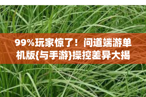 问道端游单机版图片