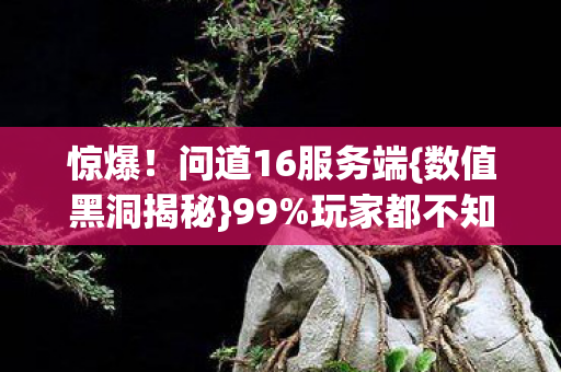 问道16服务端图片