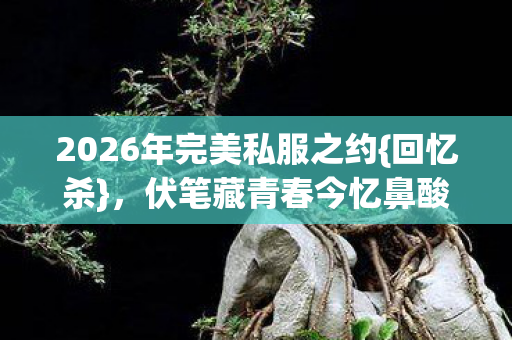 2026年完美私服之约图片