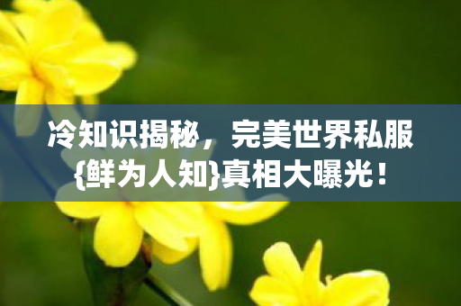 完美世界私服图片