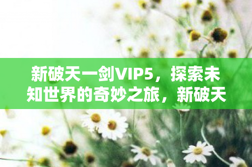 新破天一剑VIP5，探索未知世界的奇妙之旅，新破天一剑VIP5，探索未知世界的奇妙之旅