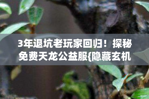3年退坑老玩家回归!探秘免费天龙公益服{隐藏玄机} 3年退坑老玩家回归!探秘免费天龙公益服{隐藏玄机}