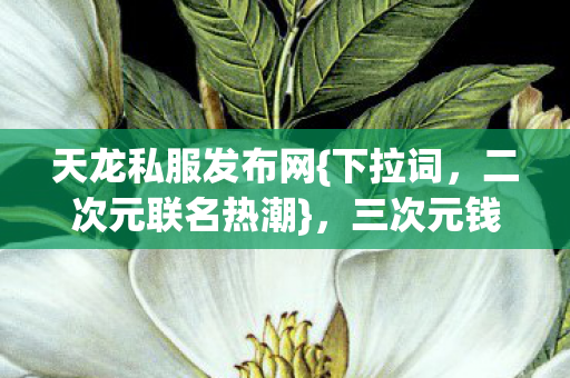 天龙私服发布网{下拉词，二次元联名热潮}，三次元钱包不保啦