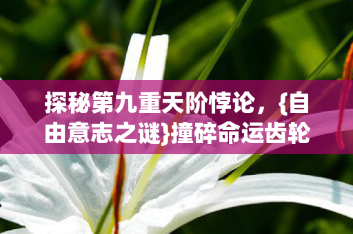 探秘第九重天阶悖论图片