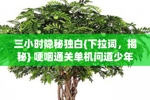 哽咽通关单机问道少年现状图片