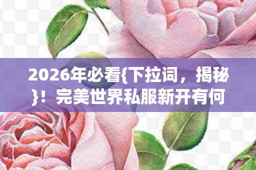 完美世界私服新开有何惊天秘密图片
