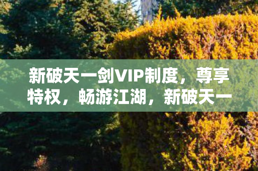 新破天一剑VIP制度，尊享特权，畅游江湖，新破天一剑VIP特权，畅游江湖，尊享特权体验