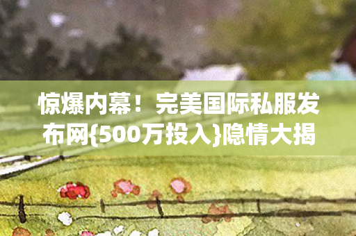 完美国际私服发布网图片