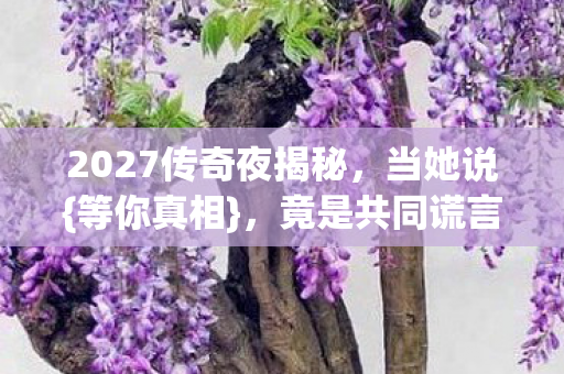 2027传奇夜揭秘图片