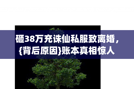 砸38万充诛仙私服致离婚图片