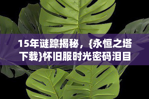 15年谜踪揭秘,{永恒之塔下载}怀旧服时光密码泪目 15年谜踪揭秘,{永恒之塔下载}怀旧服时光密码泪目
