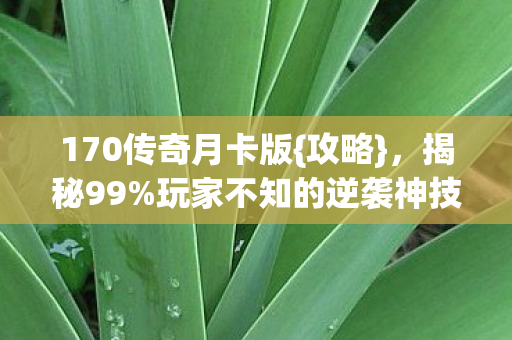 170传奇月卡版{攻略},揭秘99%玩家不知的逆袭神技 170传奇月卡版{攻略},揭秘99%玩家不知的逆袭神技