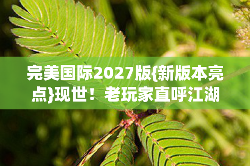 老玩家直呼江湖大变样图片