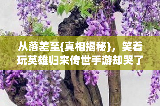 笑着玩英雄归来传世手游却哭了图片
