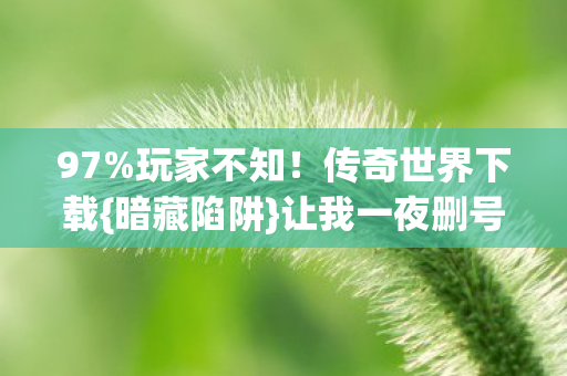传奇世界下载图片