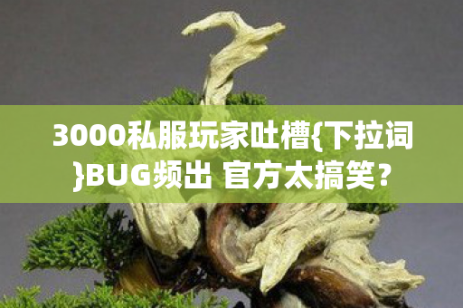 BUG频出 官方太搞笑图片